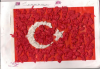 can�m k�z�mmm